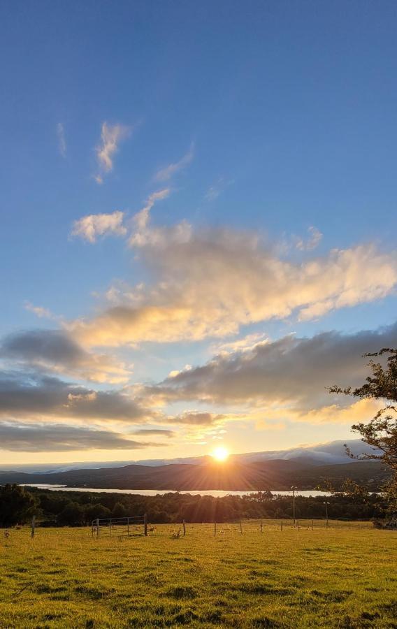 Oaklane Glamping Cabins Kenmare Eksteriør bilde