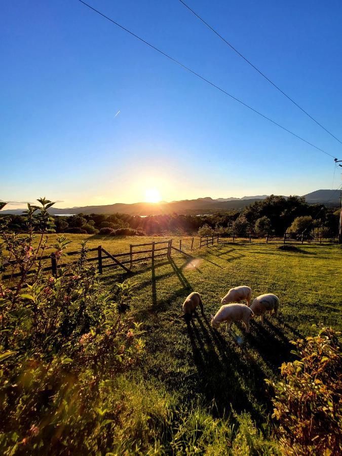 Oaklane Glamping Cabins Kenmare Eksteriør bilde
