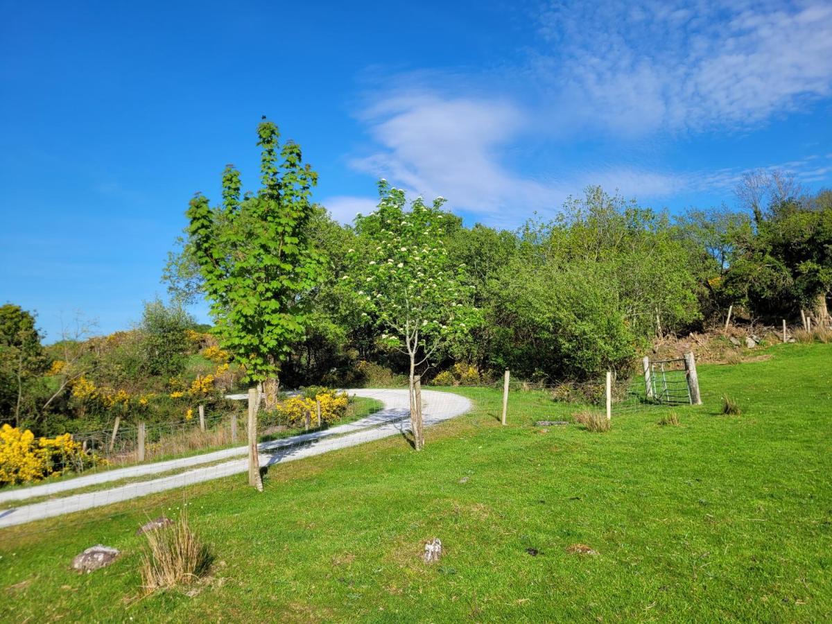 Oaklane Glamping Cabins Kenmare Eksteriør bilde