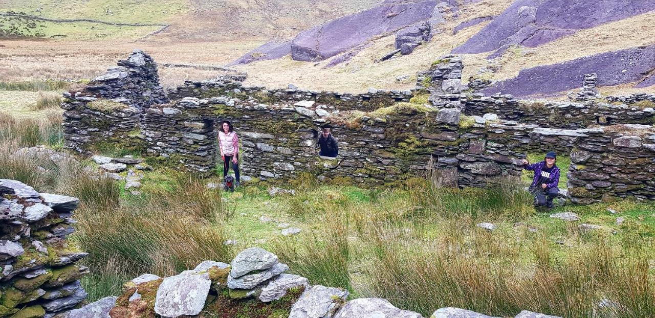 Oaklane Glamping Cabins Kenmare Eksteriør bilde