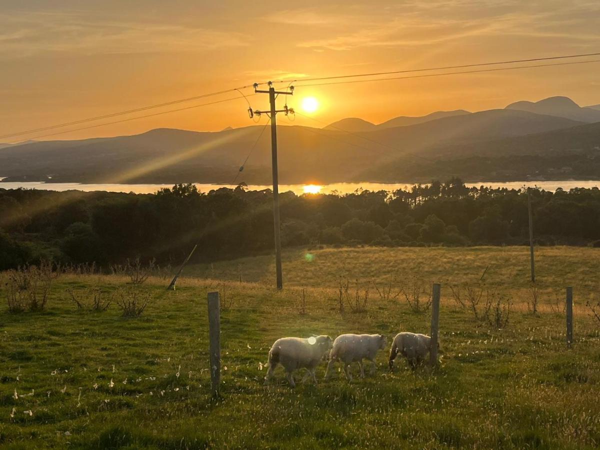 Oaklane Glamping Cabins Kenmare Eksteriør bilde